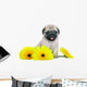 Chrysanthemum Pug Puppy Wall Decal