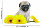 Chrysanthemum Pug Puppy Wall Decal