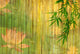 lotus and bamboo background . Wall Mural