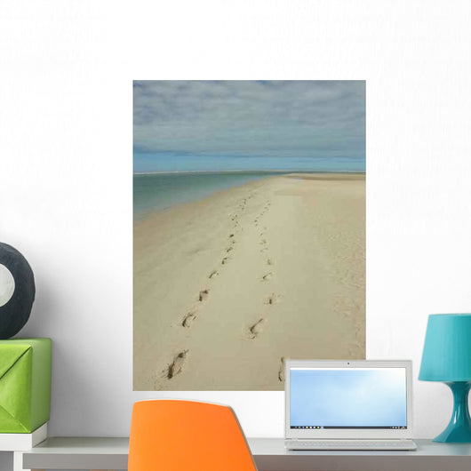 Empruntes Sur Le Sable Wall Decal