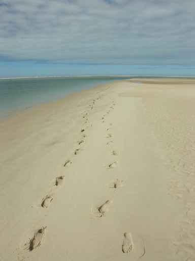 Empruntes Sur Le Sable Wall Decal