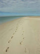 Empruntes Sur Le Sable Wall Decal