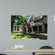 Banyan Tree Roots Wall Mural