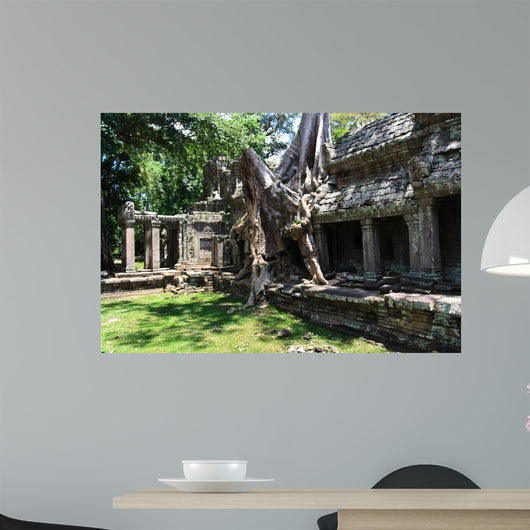 Banyan Tree Roots Wall Mural