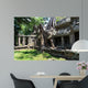Banyan Tree Roots Wall Mural