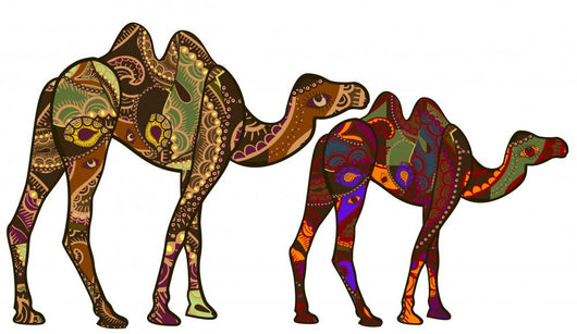 Camels Wall Mural