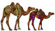 Camels Wall Mural