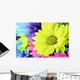 Daisies Flowers Wall Mural