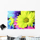 Daisies Flowers Wall Mural