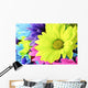 Daisies Flowers Wall Mural