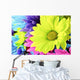 Daisies Flowers Wall Mural
