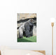 Gorilla in the Valencia Biopark Spain Wall Mural