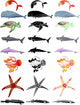 Marine Animals Wall Mural