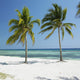 Playa GirÃ³n, Caribbean Sea, Cuba Wall Mural