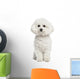 Bichon Frise Wall Decal
