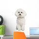 Bichon Frise Wall Decal