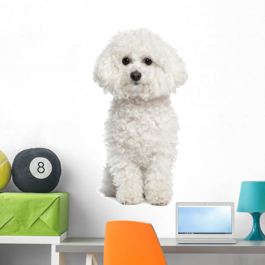 Bichon Frise Wall Decal