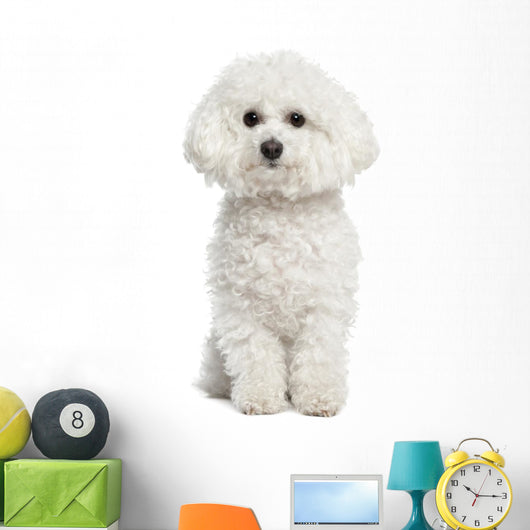 Bichon Frise Wall Decal