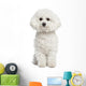 Bichon Frise Wall Decal