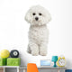 Bichon Frise Wall Decal