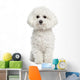 Bichon Frise Wall Decal