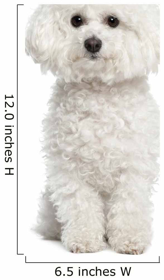 Bichon Frise Wall Decal