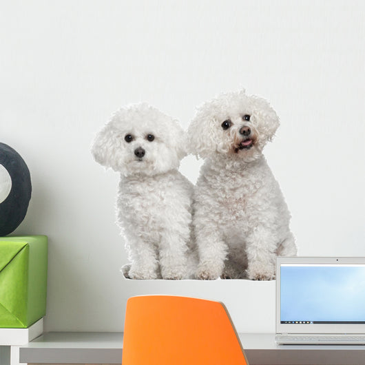 Bichon Frise 9 and Wall Decal