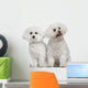 Bichon Frise 9 and Wall Decal