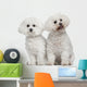 Bichon Frise 9 and Wall Decal
