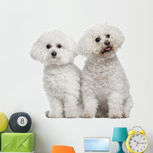 Bichon Frise 9 and Wall Decal
