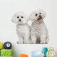 Bichon Frise 9 and Wall Decal