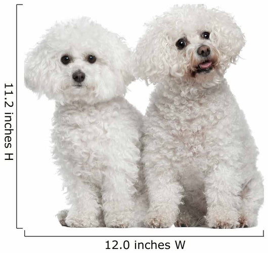 Bichon Frise 9 and Wall Decal