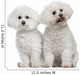 Bichon Frise 9 and Wall Decal