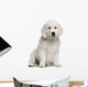 Golden Retriever Puppy 10 Weeks Old Sitting Wall Decal
