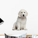 Golden Retriever Puppy 10 Weeks Old Sitting Wall Decal