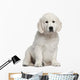 Golden Retriever Puppy 10 Weeks Old Sitting Wall Decal