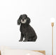 Poodle 12 Years Old Wall Decal