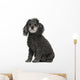 Poodle 12 Years Old Wall Decal