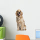 Golden Retriever 1 and Wall Decal