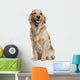 Golden Retriever 1 and Wall Decal