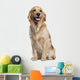 Golden Retriever 1 and Wall Decal