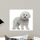 Bichon Frise, 5 years old, standing Wall Decal