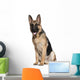 German Shepherd, 7 months old, sitting Wall Decal