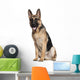 German Shepherd, 7 months old, sitting Wall Decal
