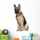 German Shepherd, 7 months old, sitting Wall Decal