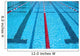 Pool Wall Decal