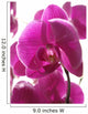 Purple Orchis against Light