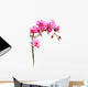 Pink Orchid