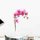 Pink Orchid