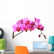 pink orchid Wall Decal
